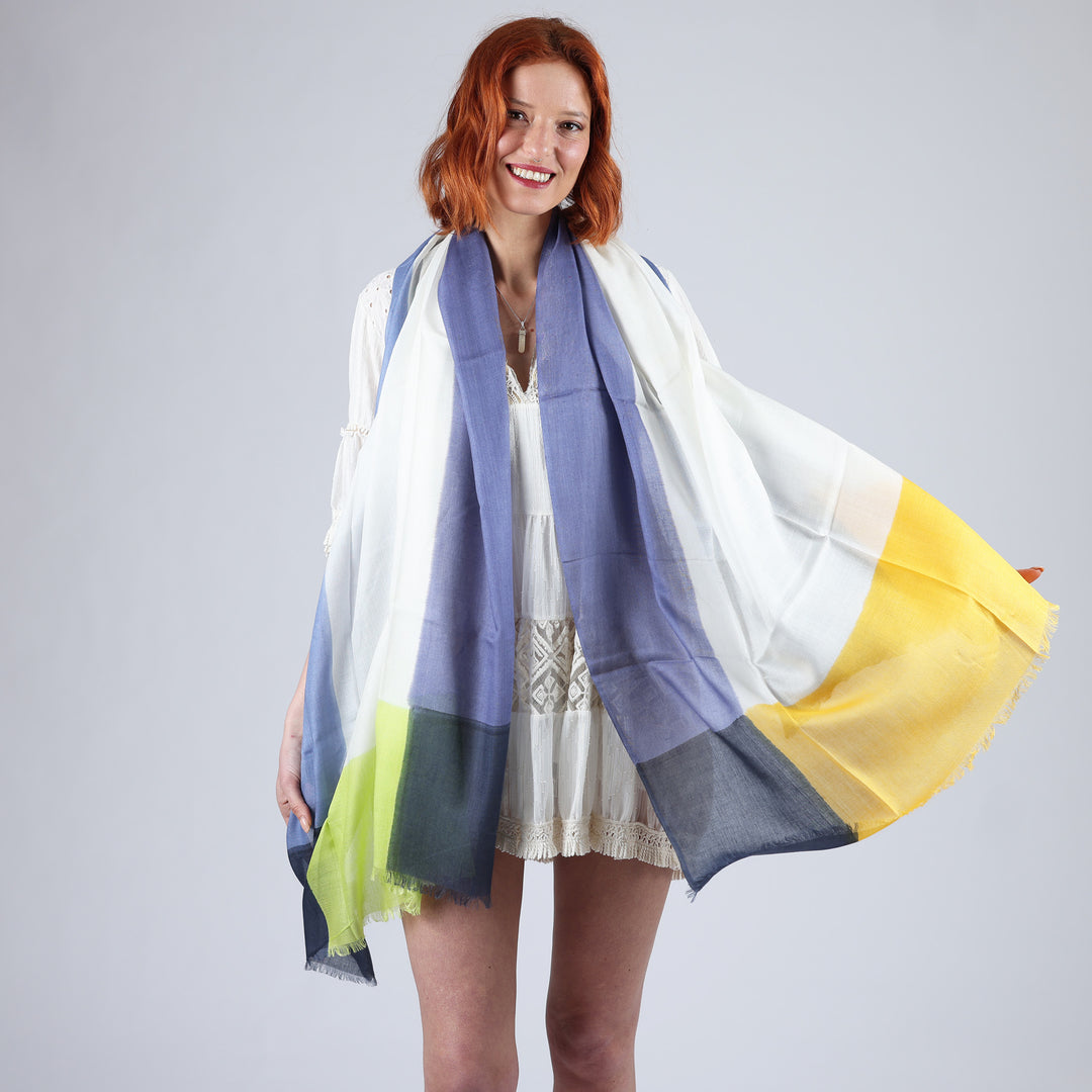 Frame - sciarpa in modal/seta